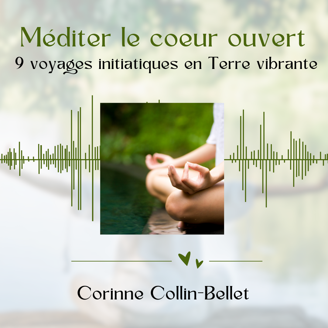 album mediter 1 DV (1)